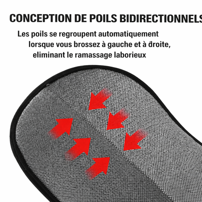 Attrapeur premium de poils d’animaux et de poussière