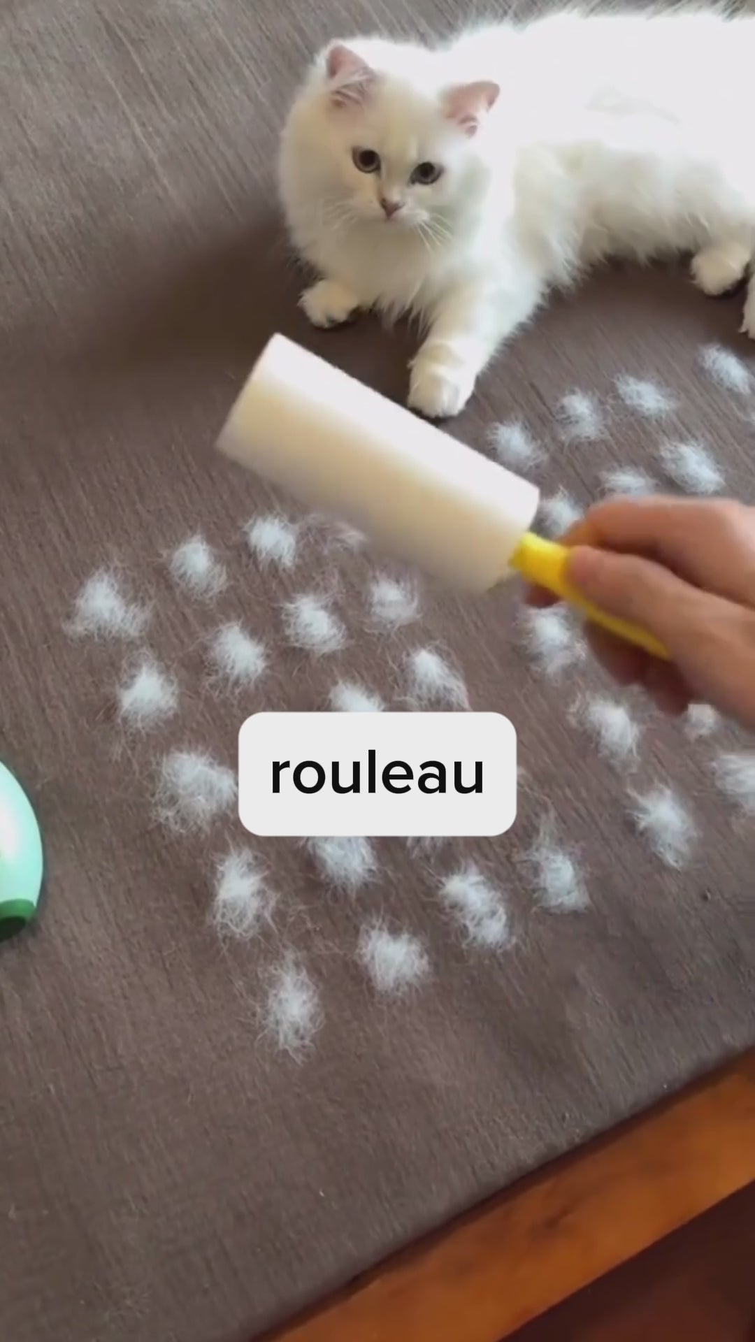 Charger la vidéo : 